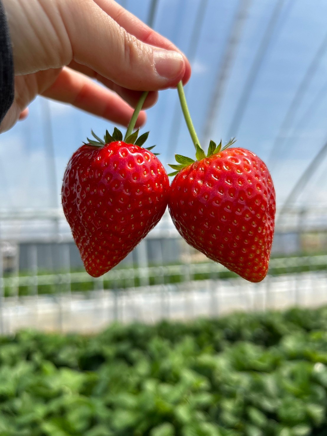 73388957efe8c6c60d7c1aed609f82